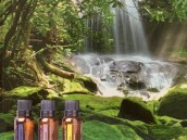 doTERRA 4
